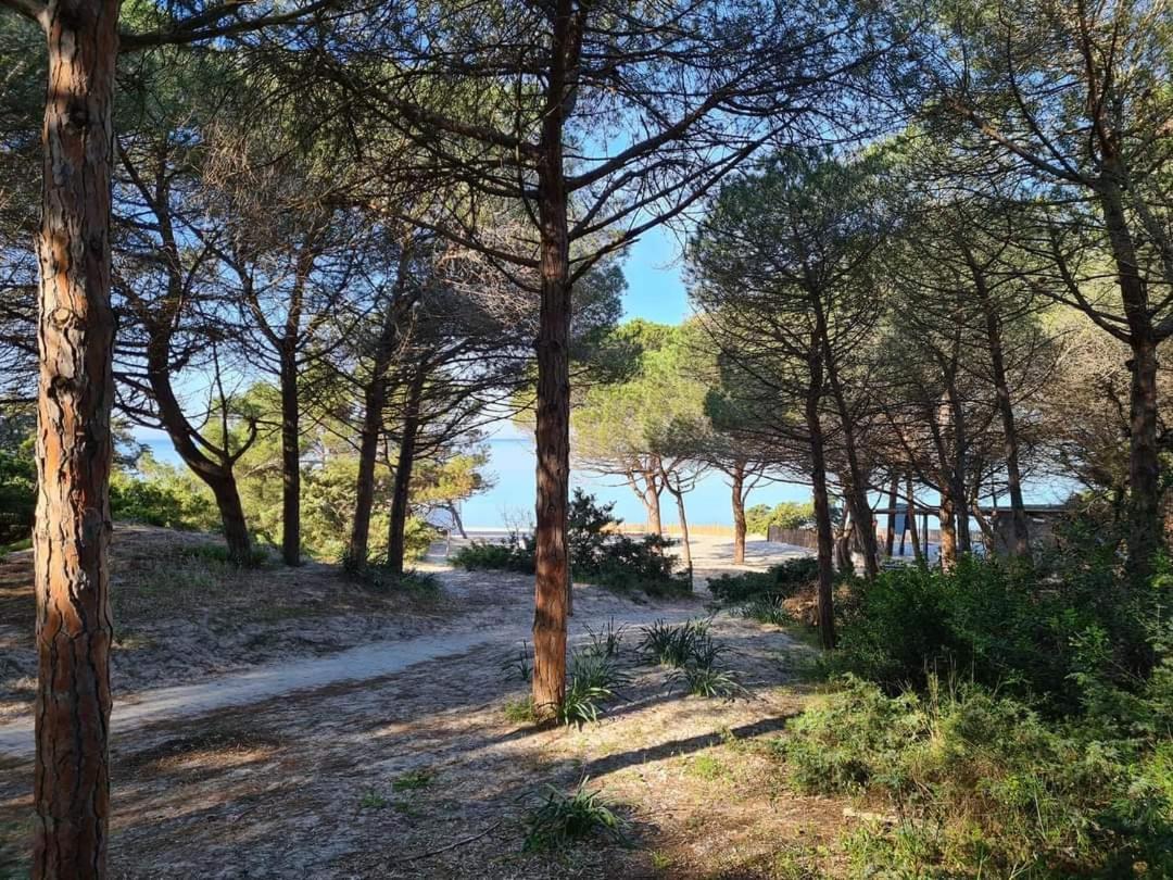Apartment Pepita Del Mare *